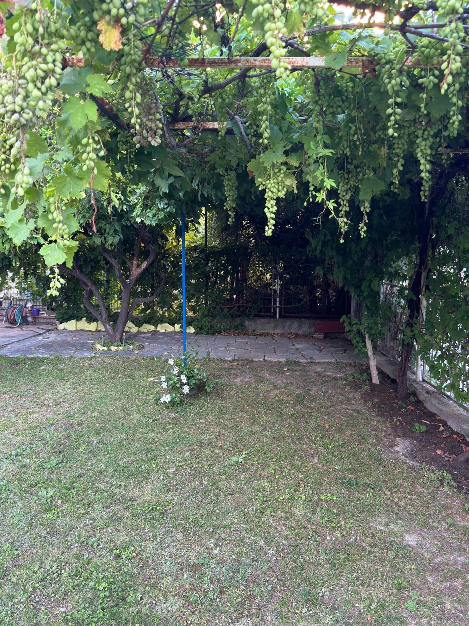 דירות ספליט Valentinas Garden מראה חיצוני תמונה